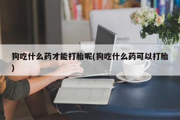流产药购买方式狗吃什么药才能打胎呢(狗吃什么药可以打胎)