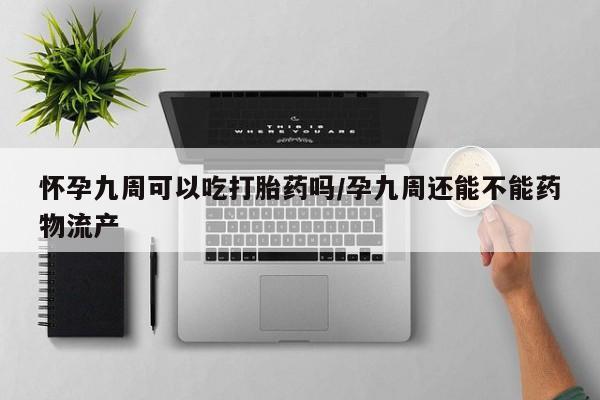 流产药购买方式怀孕九周可以吃打胎药吗/孕九周还能不能药物流产