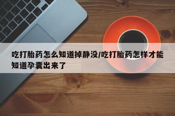 流产药购买方式吃打胎药怎么知道掉静没/吃打胎药怎样才能知道孕囊出来了