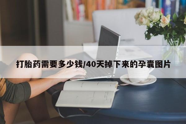 流产药购买方式打胎药需要多少钱/40天掉下来的孕囊图片